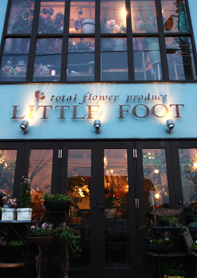 littlefoot